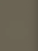 Godrej Slimline XL 2 Door Almirah Tree Bark in Tree Bark color – Godrej Interio